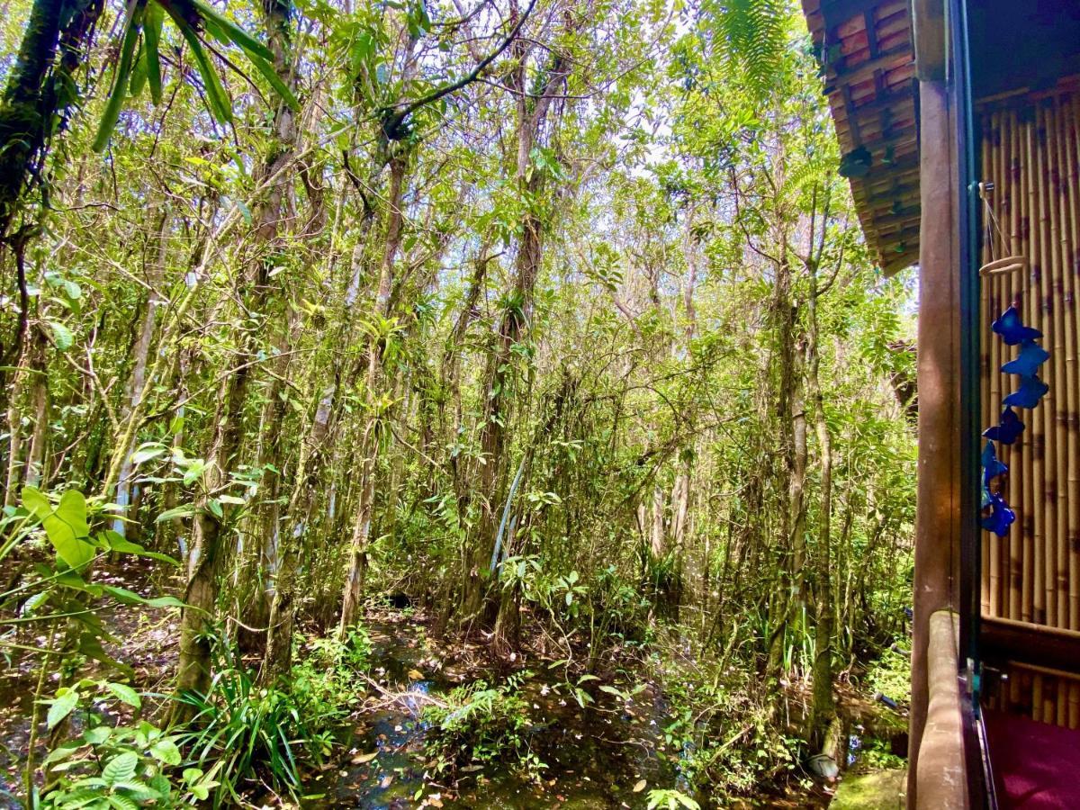 Maresias, Chalé H29 em condomínio de frente a Entrada 18 da praia e dentro da Mata Atlântica Sao Sebastiao  Extérieur photo